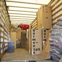 7 Tips To Safely Move With Pets